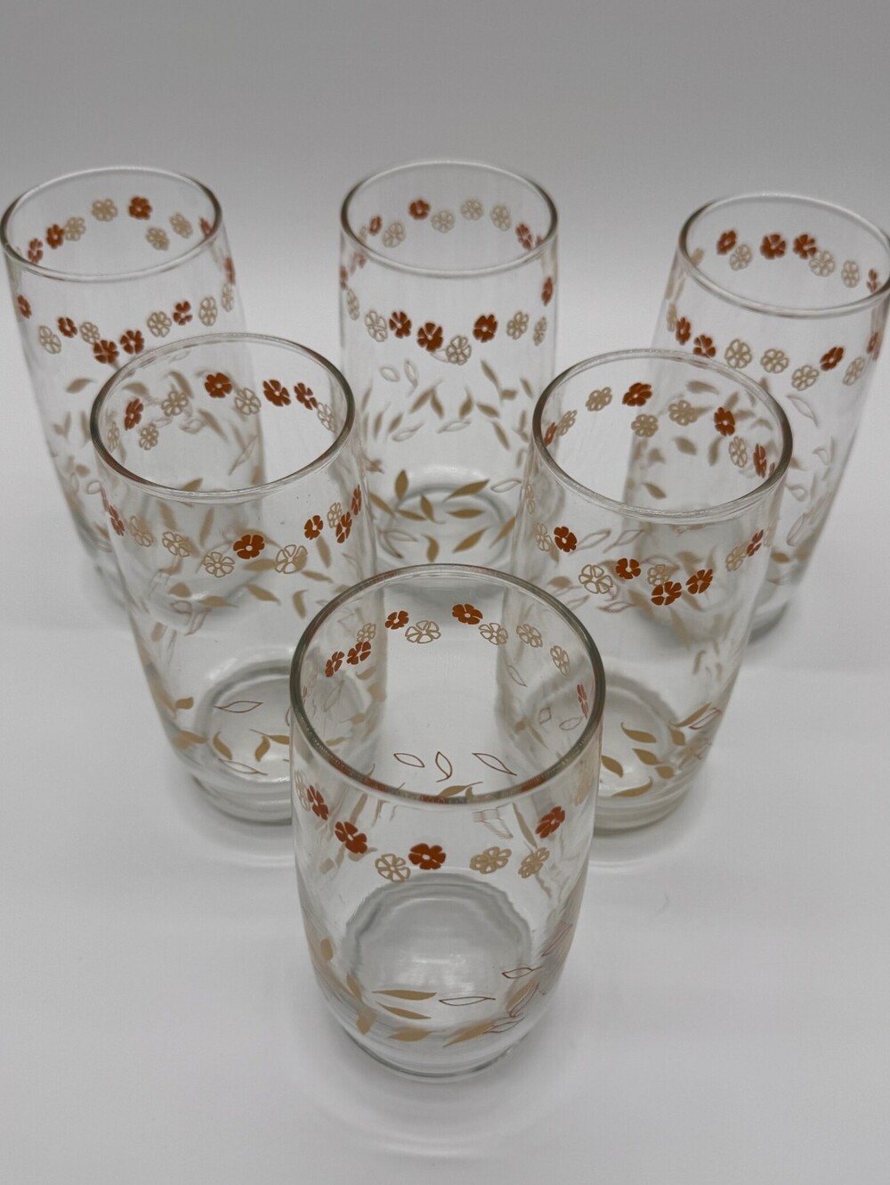 Vintage Drinking Glasses Set of 6 Fall Autumn Retro Flowers and Leaves Design